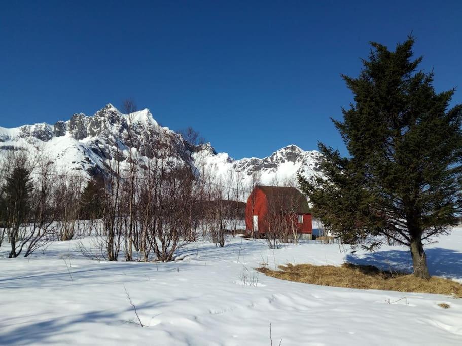 Cozy Apartment Between Sea And Mountains Mefjordvaer Экстерьер фото