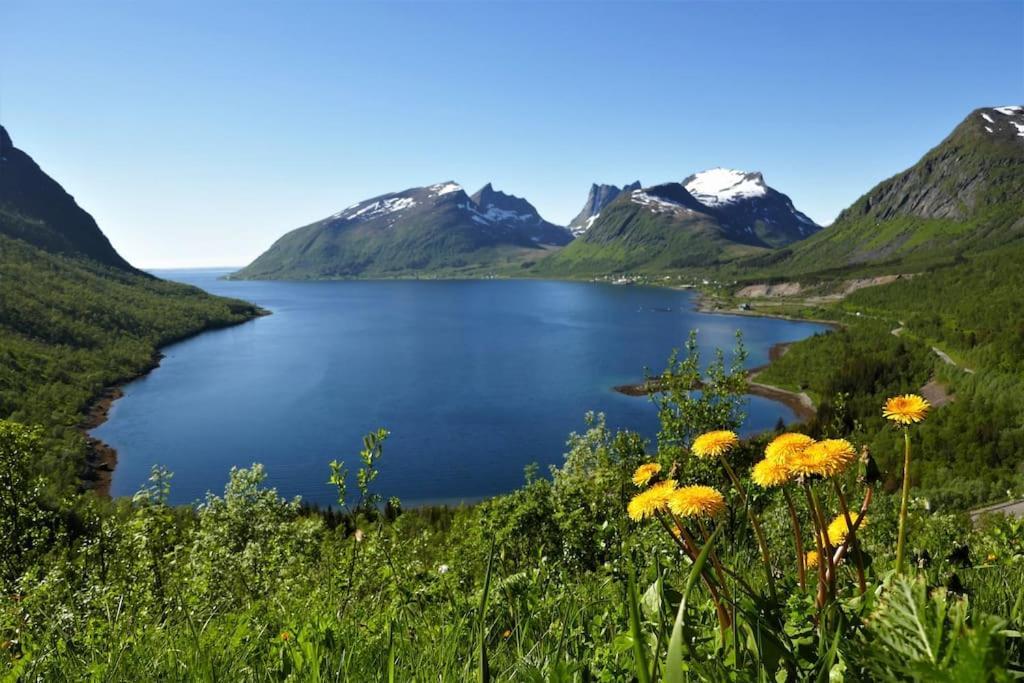 Cozy Apartment Between Sea And Mountains Mefjordvaer Экстерьер фото