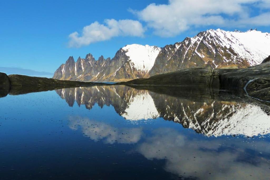 Cozy Apartment Between Sea And Mountains Mefjordvaer Экстерьер фото